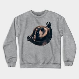 Raccoon Pedro Pedro funny viral meme Crewneck Sweatshirt